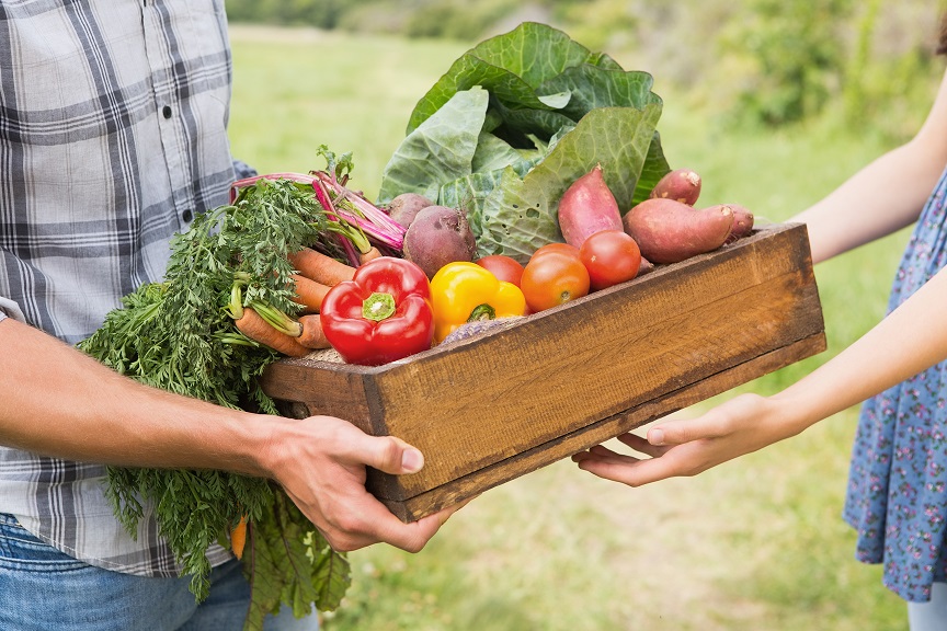 farmer giving box of veg to customer on a sunny da PSMTTVJ