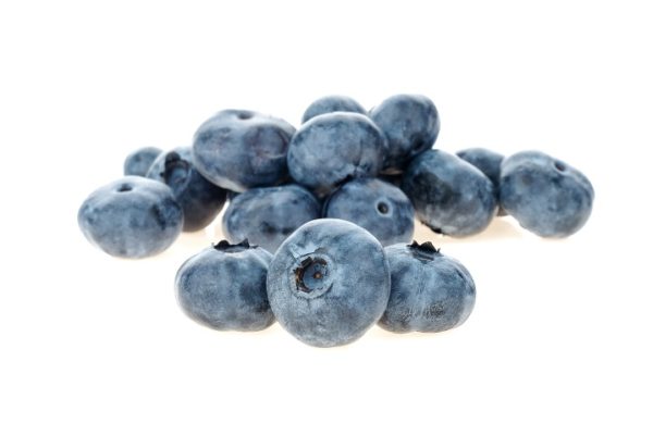 blueberry isolated on white background 4CUEK9M