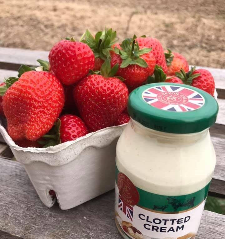 Norfolk Strawberries