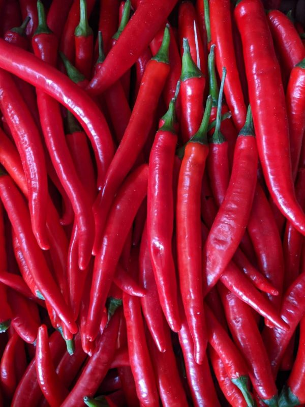 long red chilli