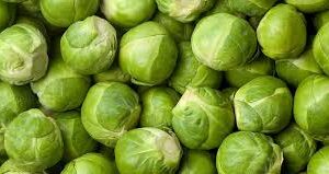 sprouts